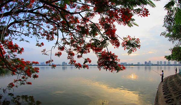 Hồ Tây mang vẻ đẹp lãng mạn