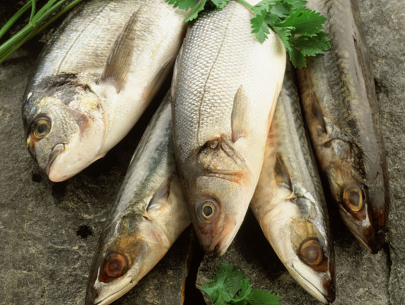 Cá - Thực phẩm chứa nhiều Omega-3